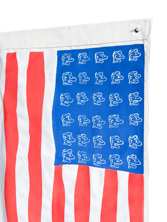 16 United Waves of America Flag