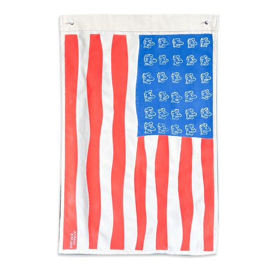 16 United Waves of America Flag